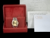 Rolex Datejust 36 Champagne Jubilee Crissy Dial  Watch  16233 